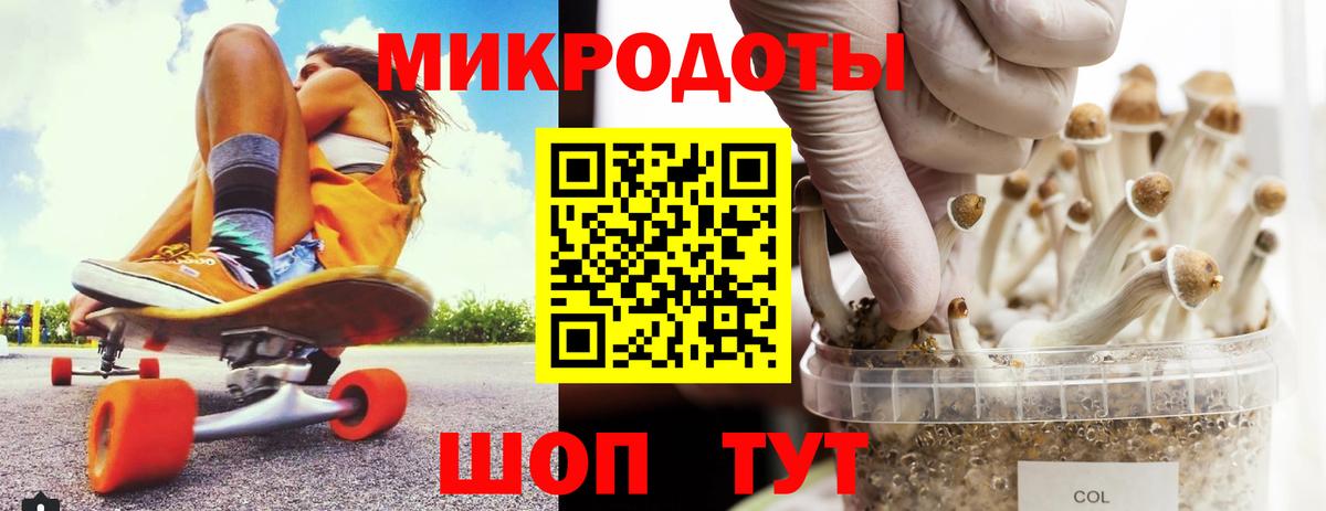 Елабуга  магазин продажи   Псилоцибиновые грибы Psilocybine cubensis  Вход с VPN  Галлюциногенные грибы мицелий 